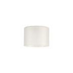 NL76319 Iona Shade Frosted