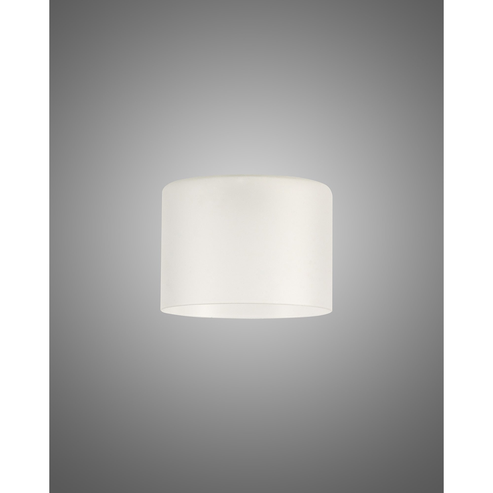 NL76319 Iona Shade Frosted