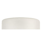 NL76319 Iona Shade Frosted