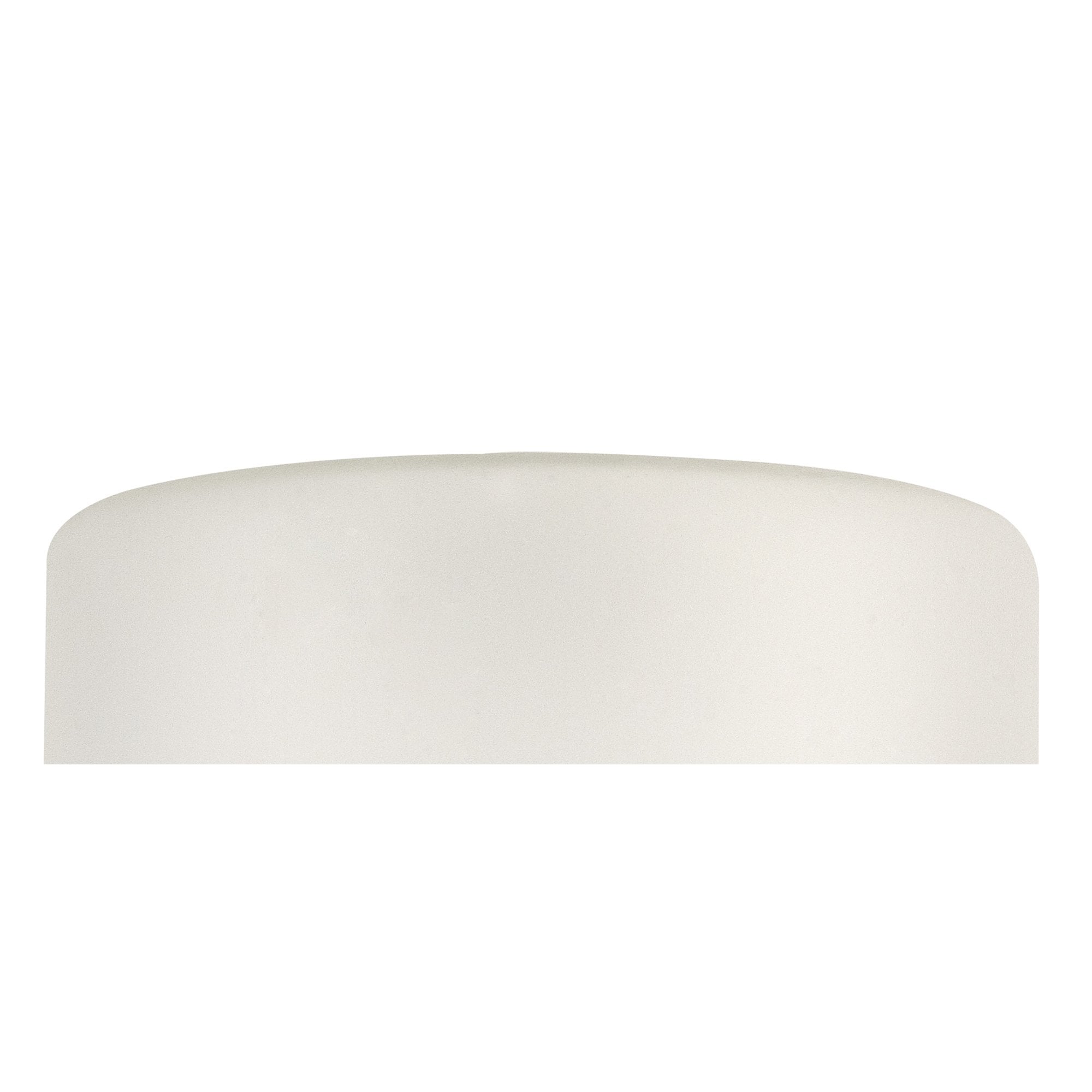 NL76319 Iona Shade Frosted