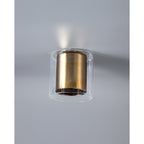 NL84109 Iona Shade Gold Clear