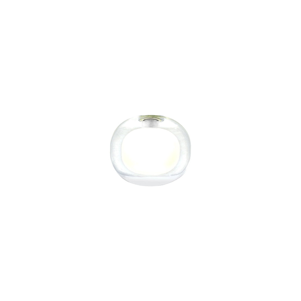 NL84579 Iona Shade Frosted Clear