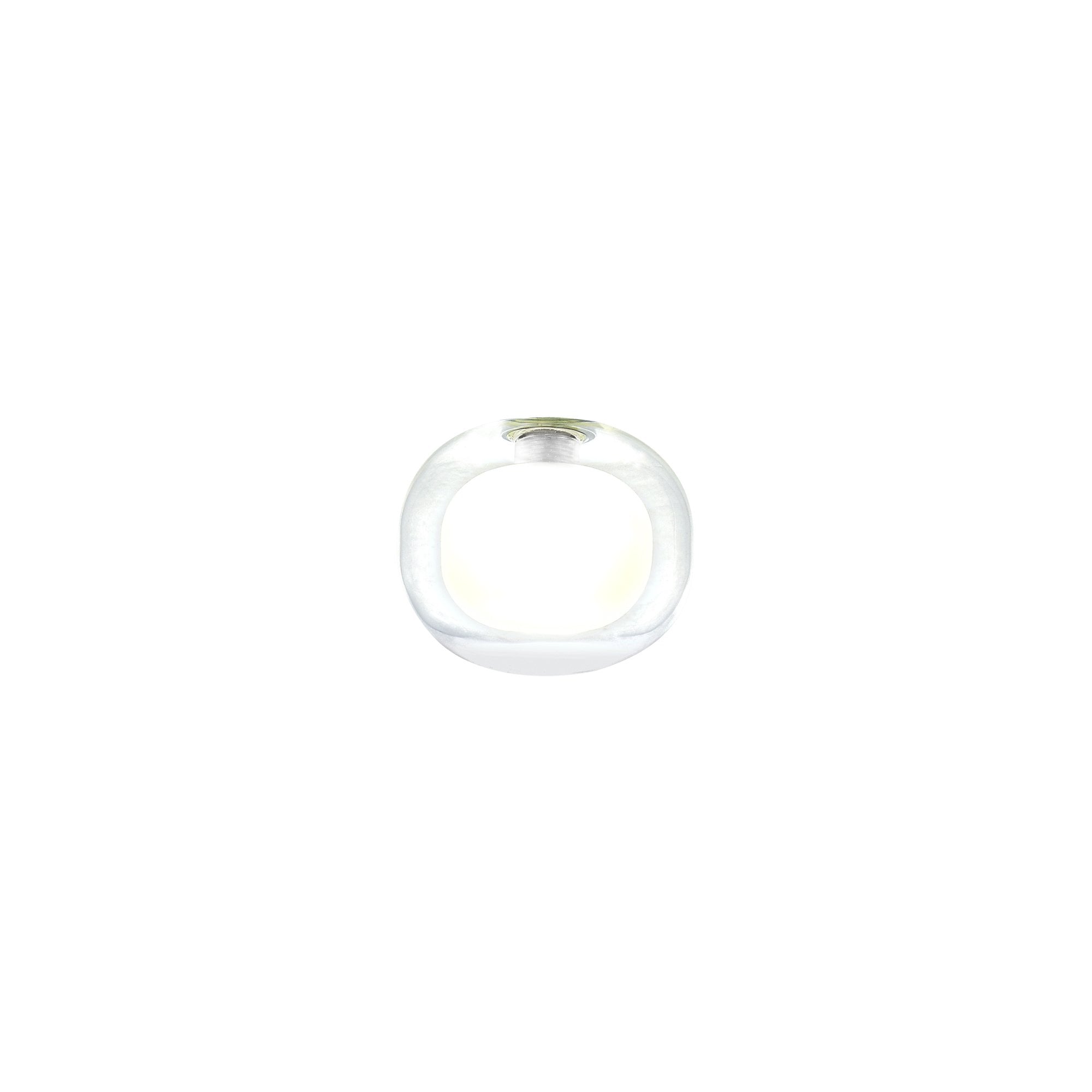 NL84579 Iona Shade Frosted Clear