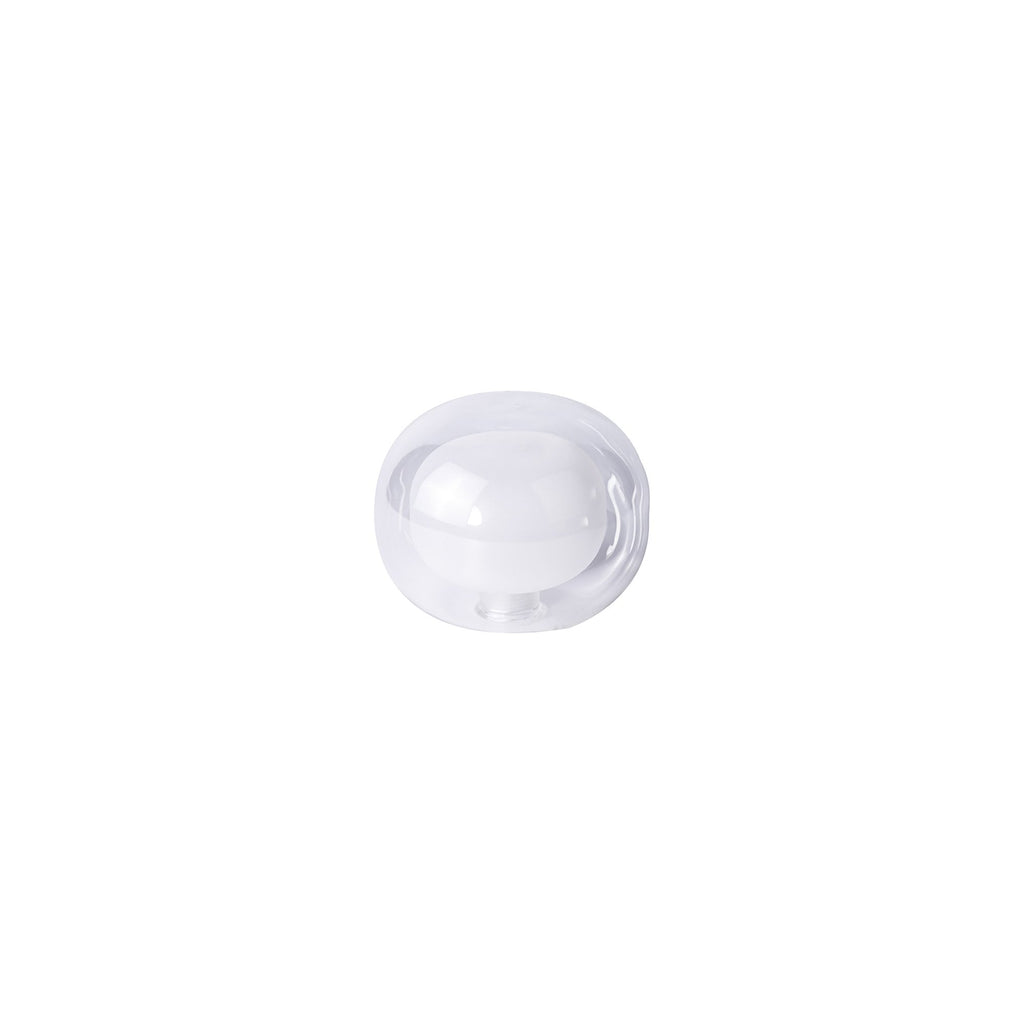 NL84579 Iona Shade Frosted Clear