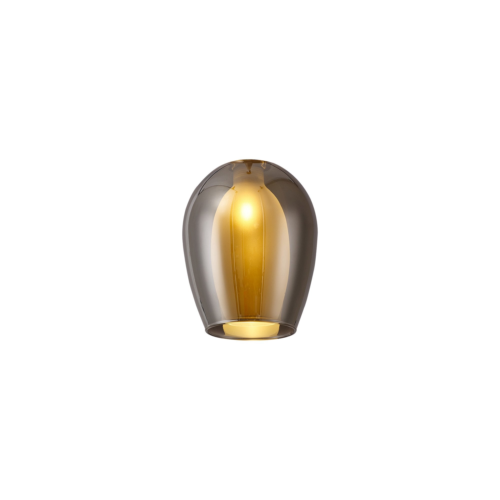 NL8458/CH9 Iona Shade Chrome Frosted White