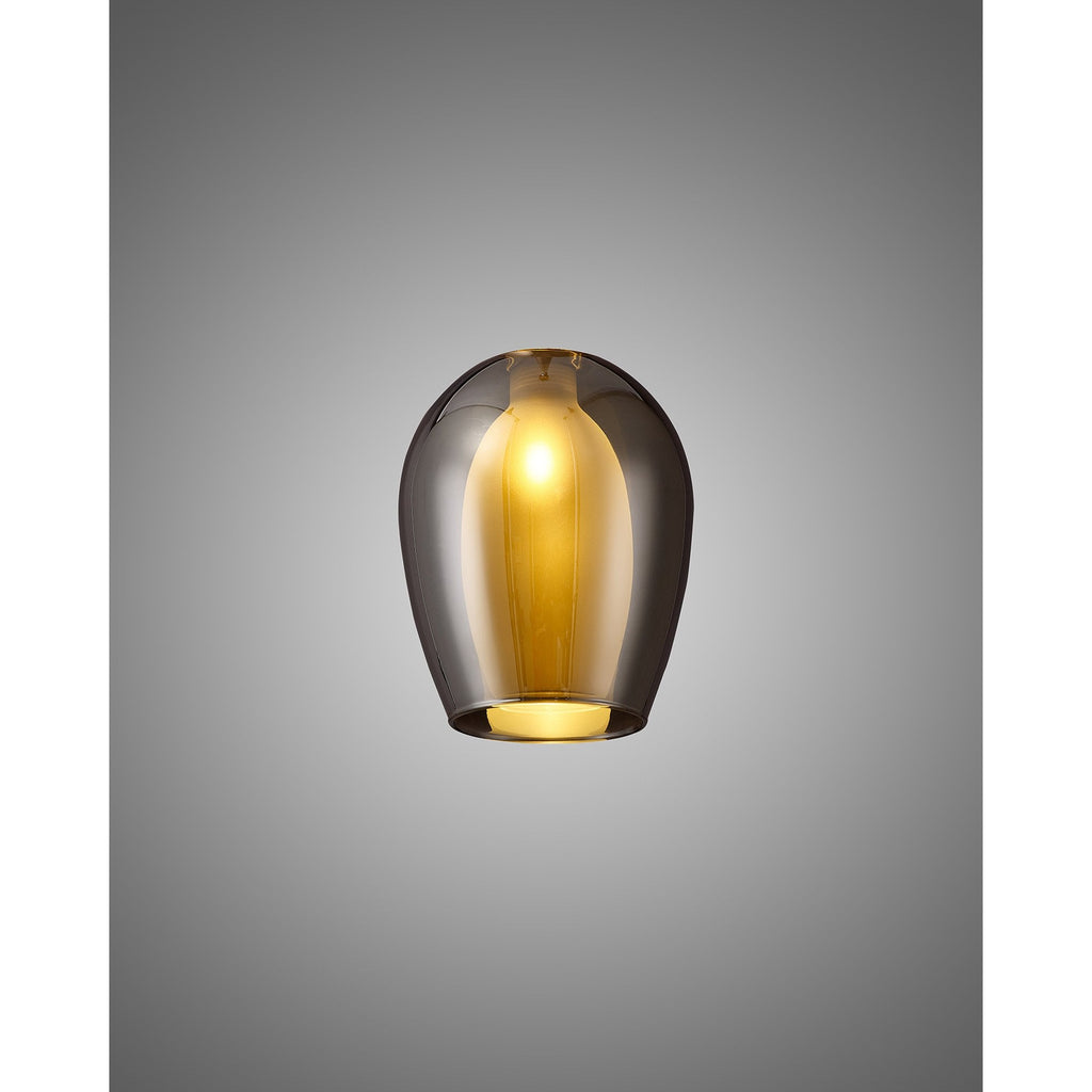 NL8458/CH9 Iona Shade Chrome Frosted White