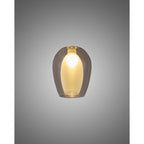 NL8458/CL9 Iona Shade Clear Frosted White