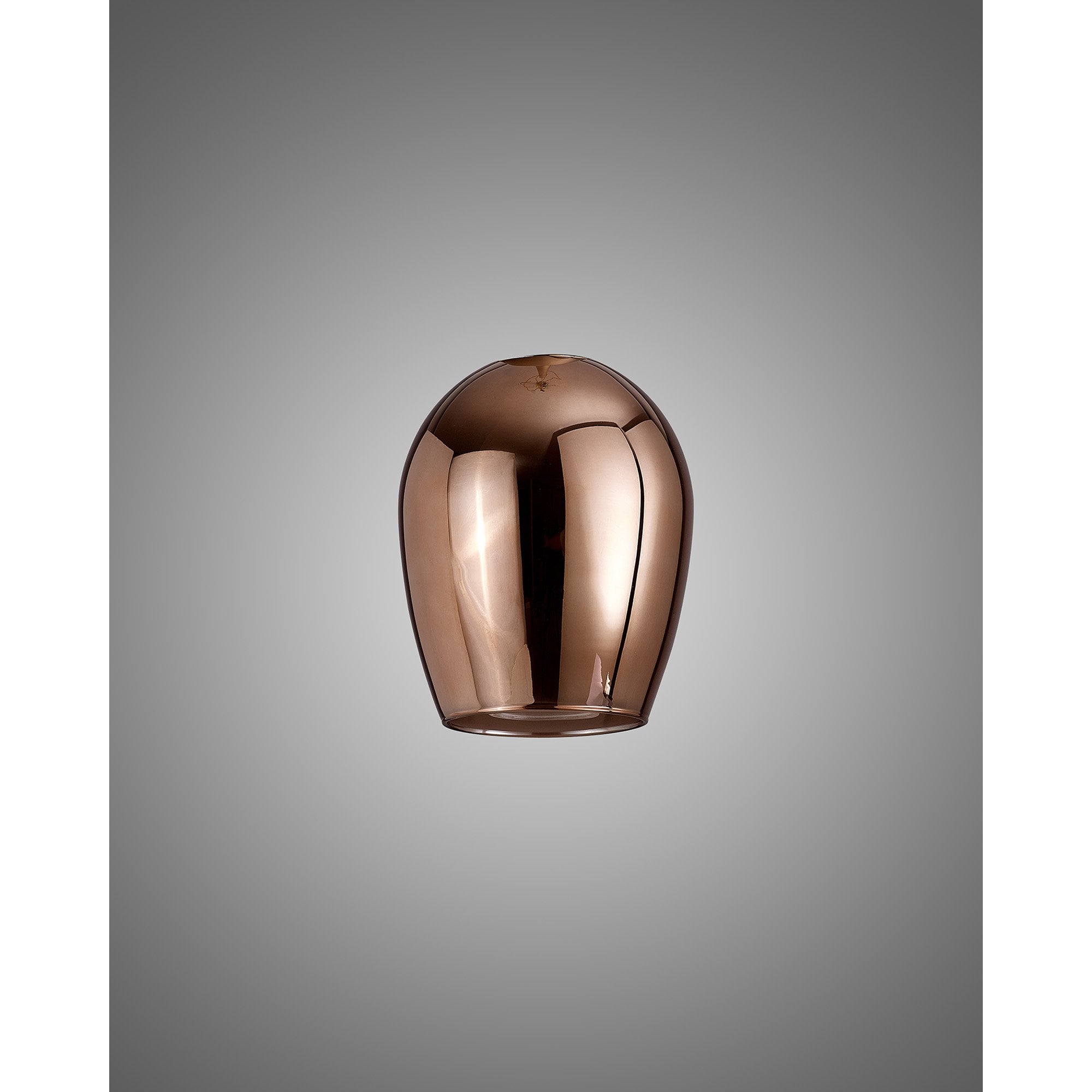 NL8458/CU9 Iona Shade Copper Frosted White
