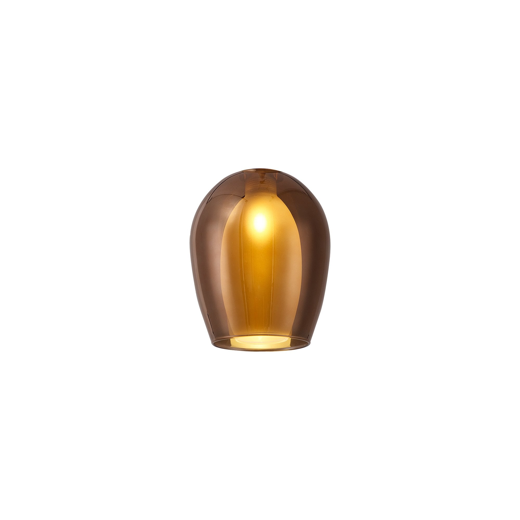 NL8458/CU9 Iona Shade Copper Frosted White
