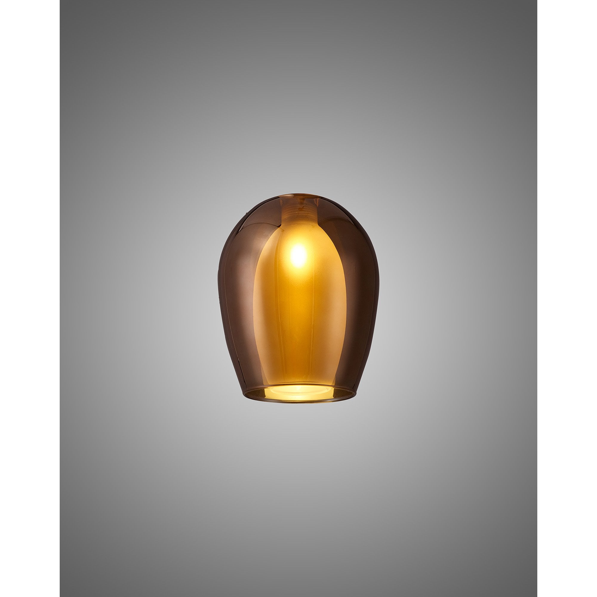 NL8458/CU9 Iona Shade Copper Frosted White