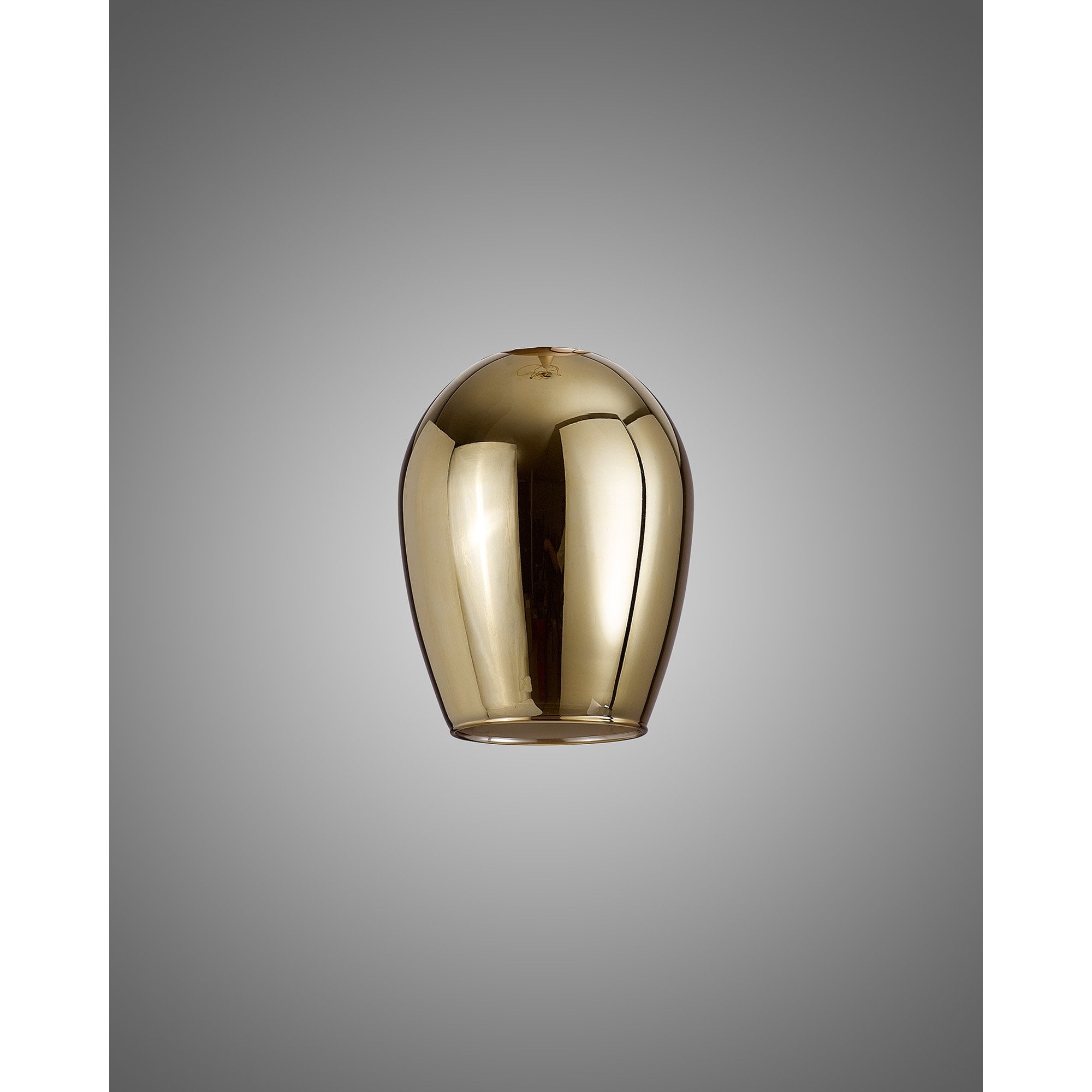 NL8458/GD9 Iona Shade Gold Frosted White