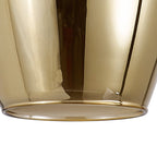 NL8458/GD9 Iona Shade Gold Frosted White