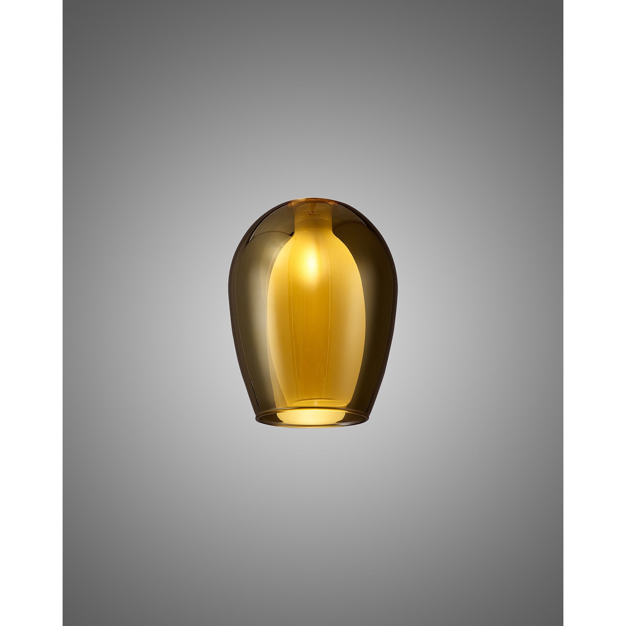 NL8458/GD9 Iona Shade Gold Frosted White