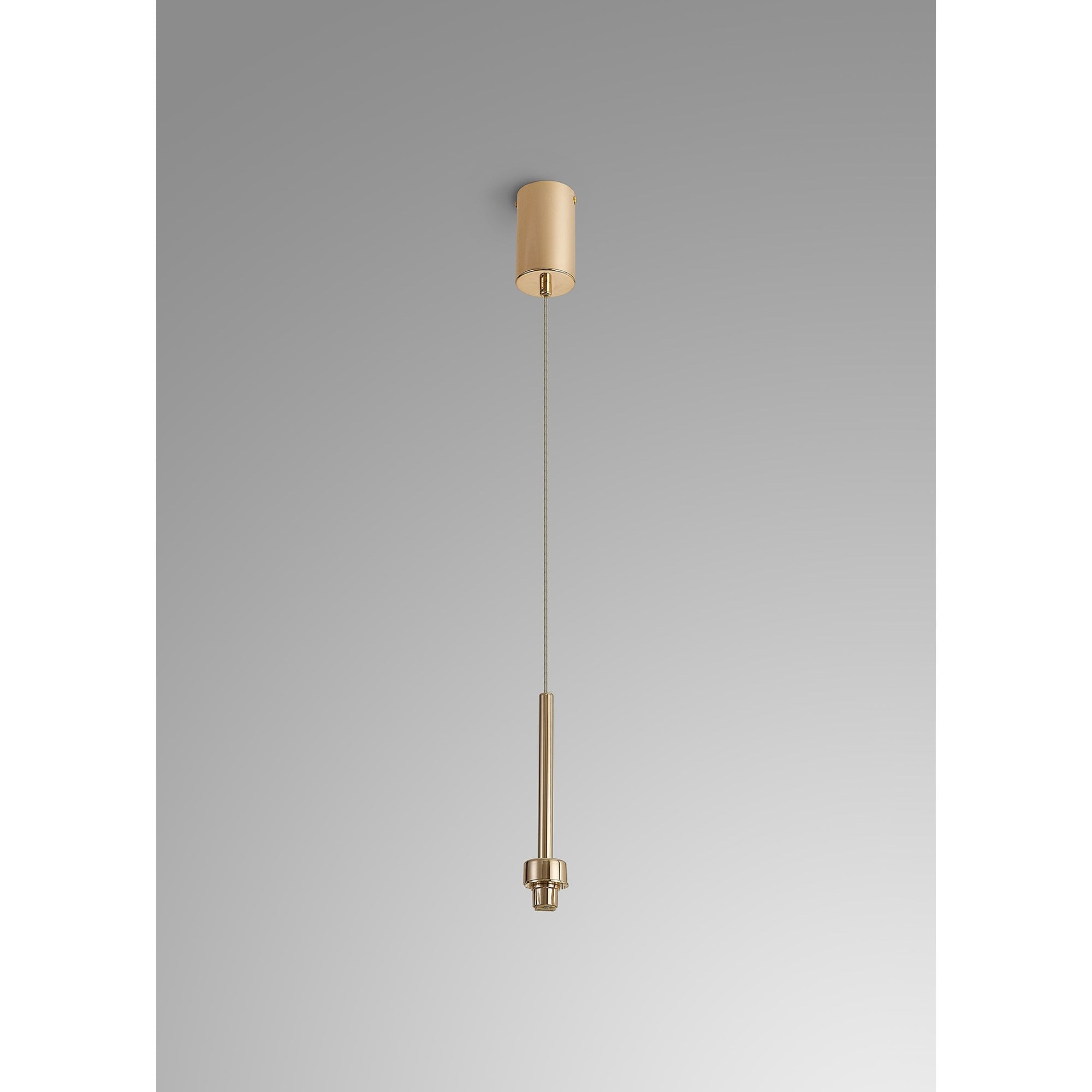 NL84679 Iona 1 Light Pendant French Gold
