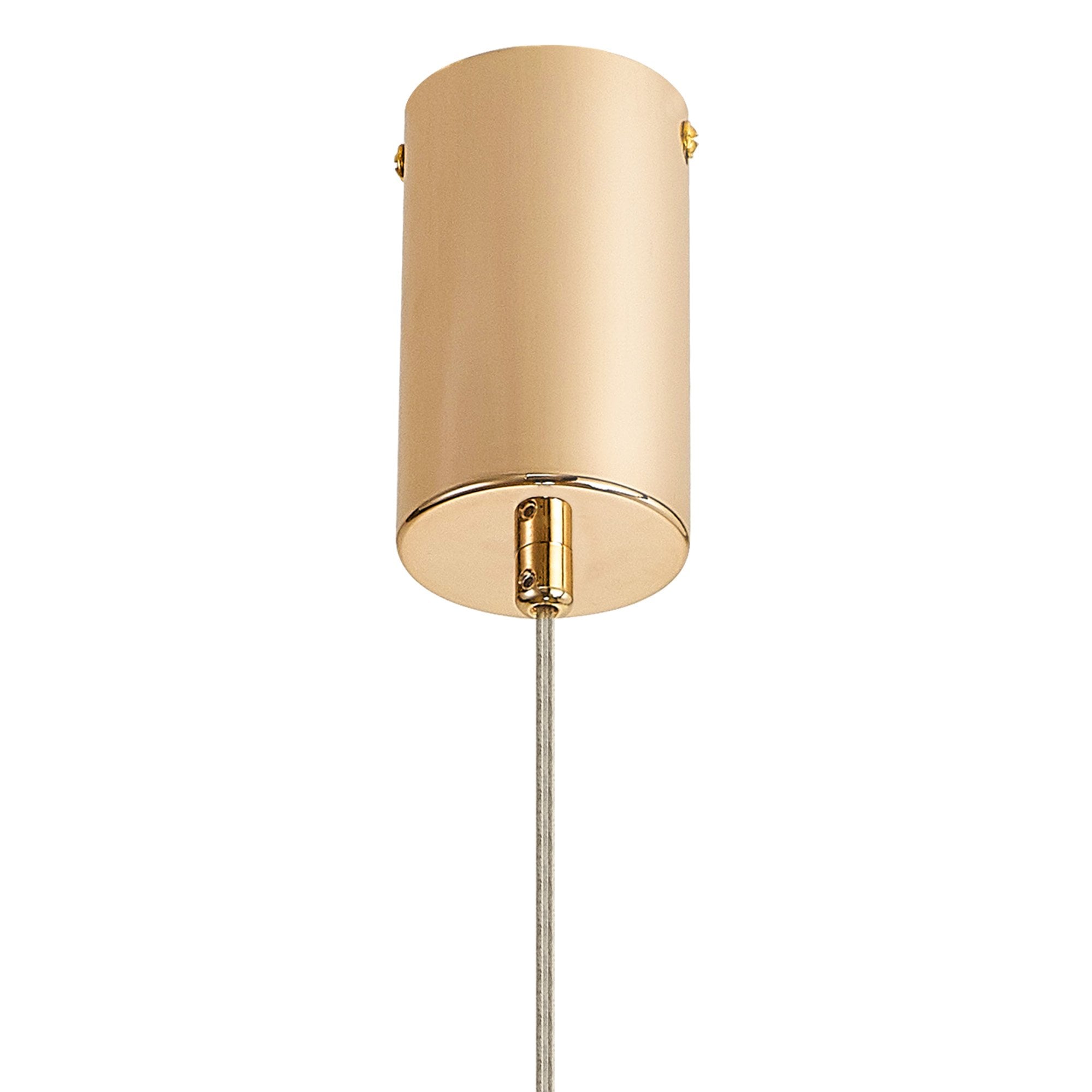 NL84679 Iona 1 Light Pendant French Gold
