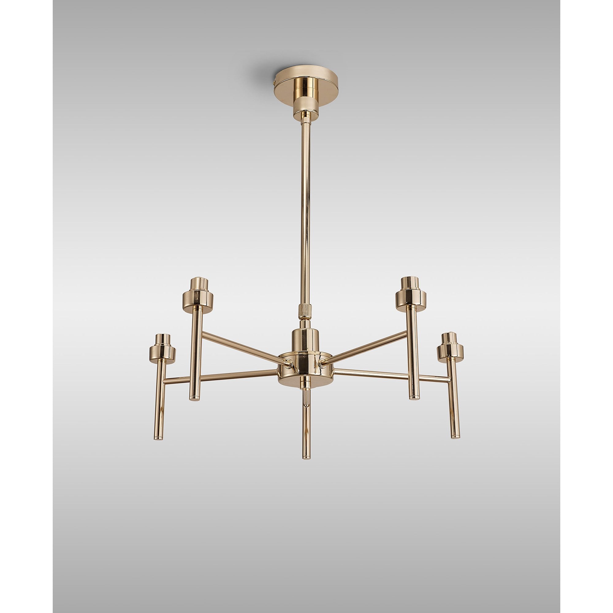 NL84779 Iona 5 Light Pendant/Ceiling Light French Gold