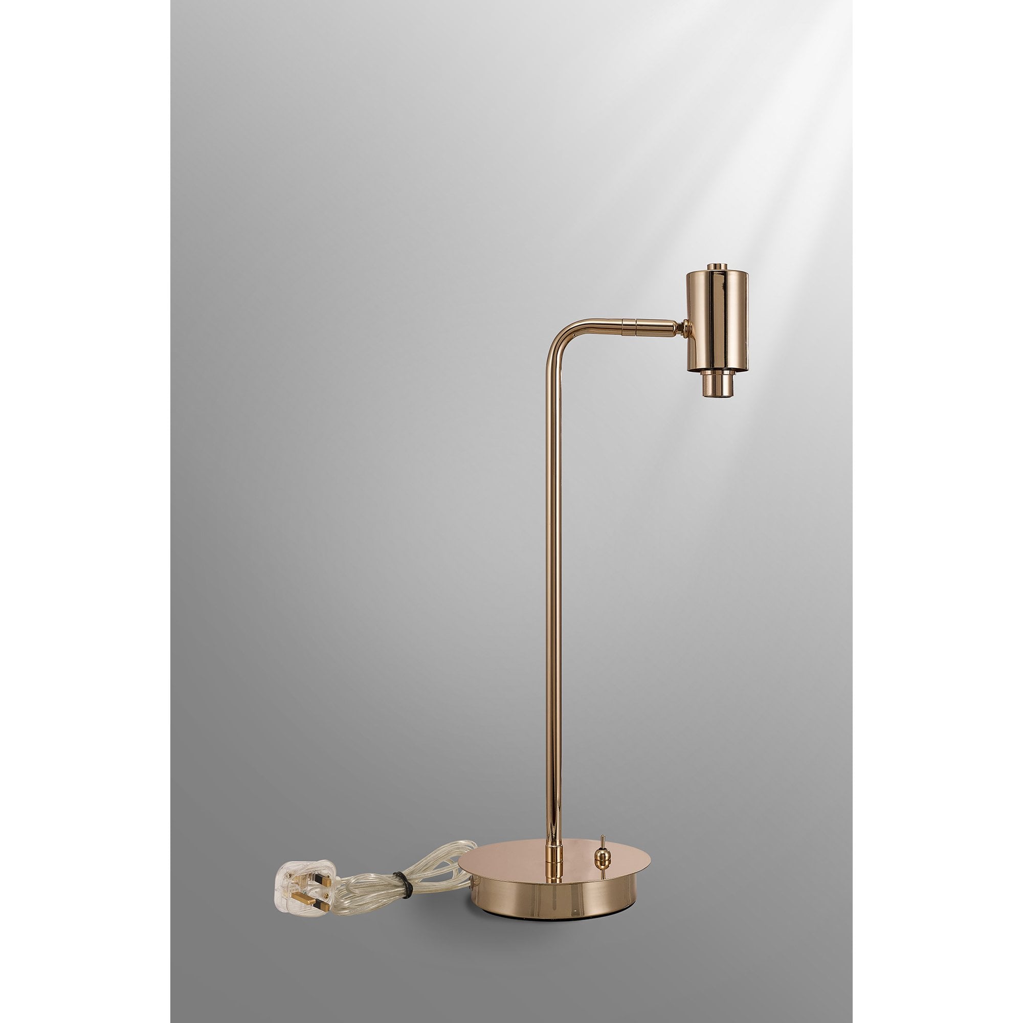 NL90129 Iona 1 Light Table Lamp French Gold