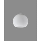 NL90889 Iona Shade Opal