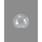 NL90899 Iona Shade Clear