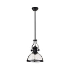 NL7262/BL9 Louis 1 Light Pendant Matt Black Clear