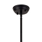NL7262/BL9 Louis 1 Light Pendant Matt Black Clear