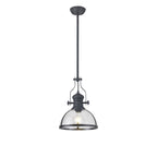 NL7262/GR9 Louis 1 Light Pendant Graphite Clear