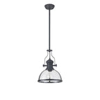 NL7262/GR9 Louis 1 Light Pendant Graphite Clear