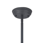 NL7262/GR9 Louis 1 Light Pendant Graphite Clear