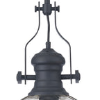 NL7262/GR9 Louis 1 Light Pendant Graphite Clear