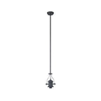 NLK15379 Louis 1 Light Pendant Graphite Prismatic
