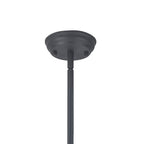 NLK15379 Louis 1 Light Pendant Graphite Prismatic