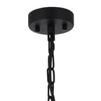 NL91059 Maccia 1 Light Pendant/Ceiling Light Satin Black Clear