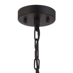 NL91079 Maccia 6 Light Pendant/Ceiling Light Satin Black Clear