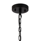NL91099 Maccia 6 Light Pendant/Ceiling Light Satin Black Clear