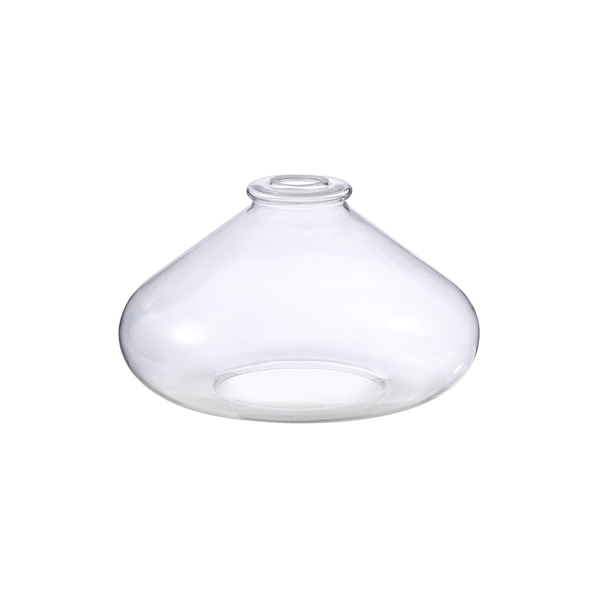 NL8134/CL9 Olivia Shade Clear