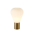 NLK11209 Olivia 1 Light Table Lamp Antique Brass Opal