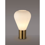 NLK11209 Olivia 1 Light Table Lamp Antique Brass Opal