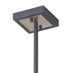 NL88029 Palit 8 Light Pendant Anthracite Satin Nickel