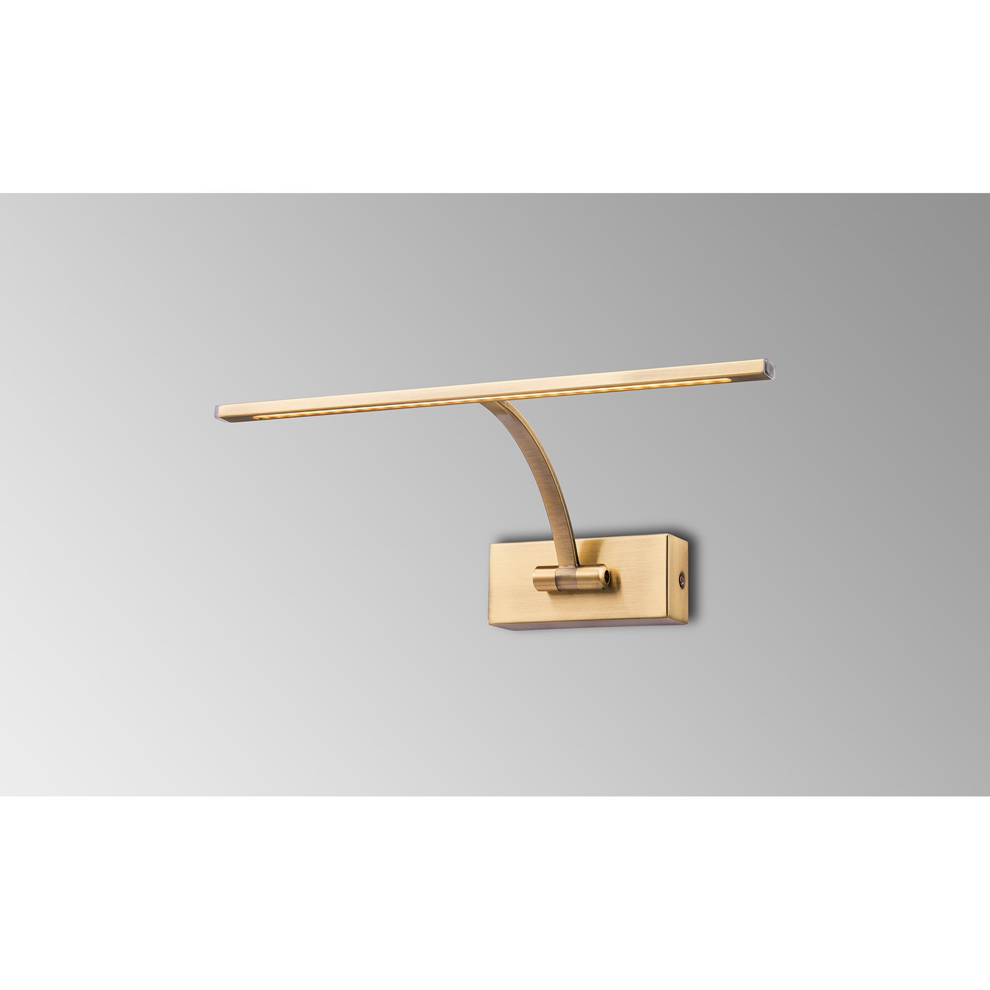 NL7832AB9 Penton 1 LED Picture Light Antique Brass Fosted
