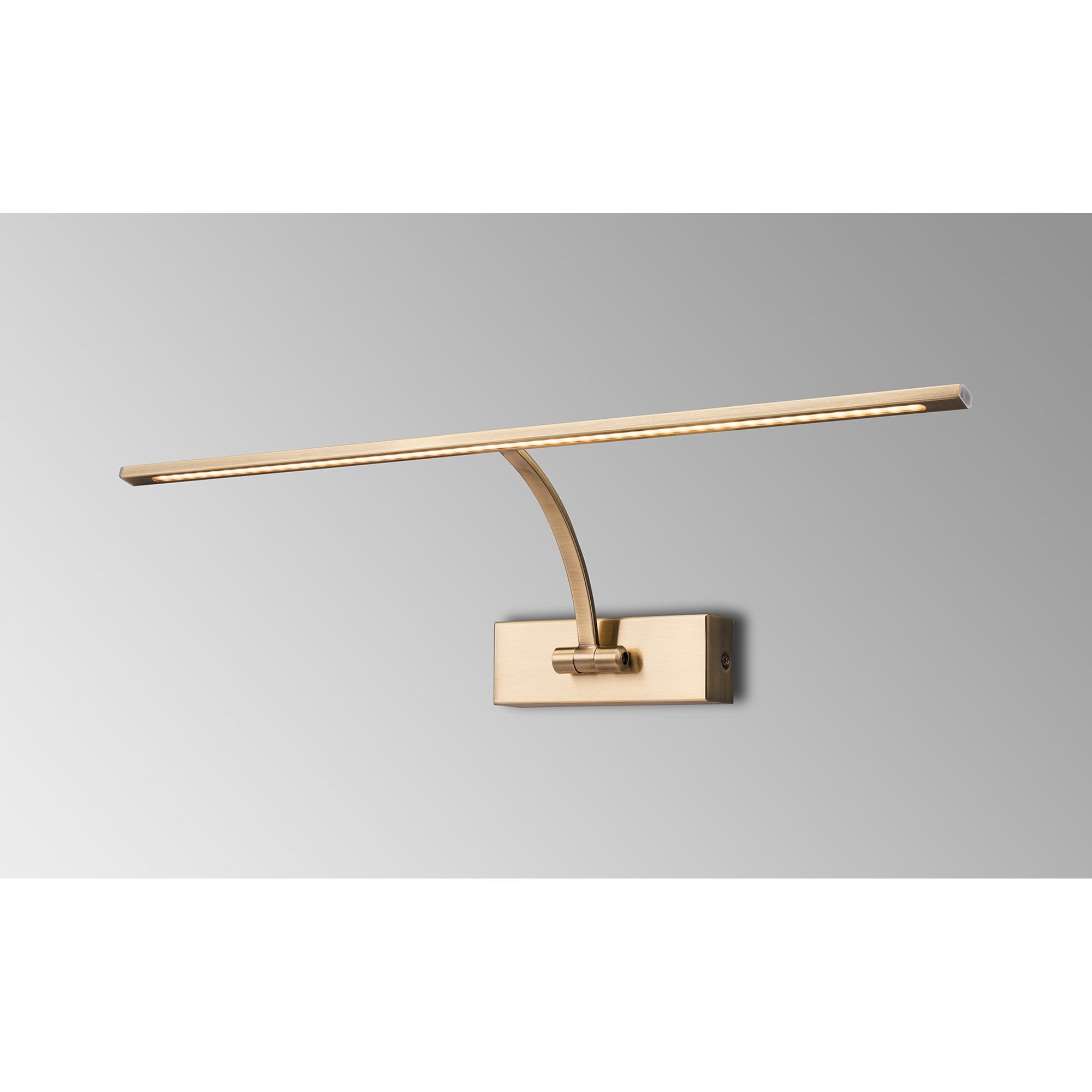 NL7833AB9 Penton 1 LED Picture Light Antique Brass Fosted
