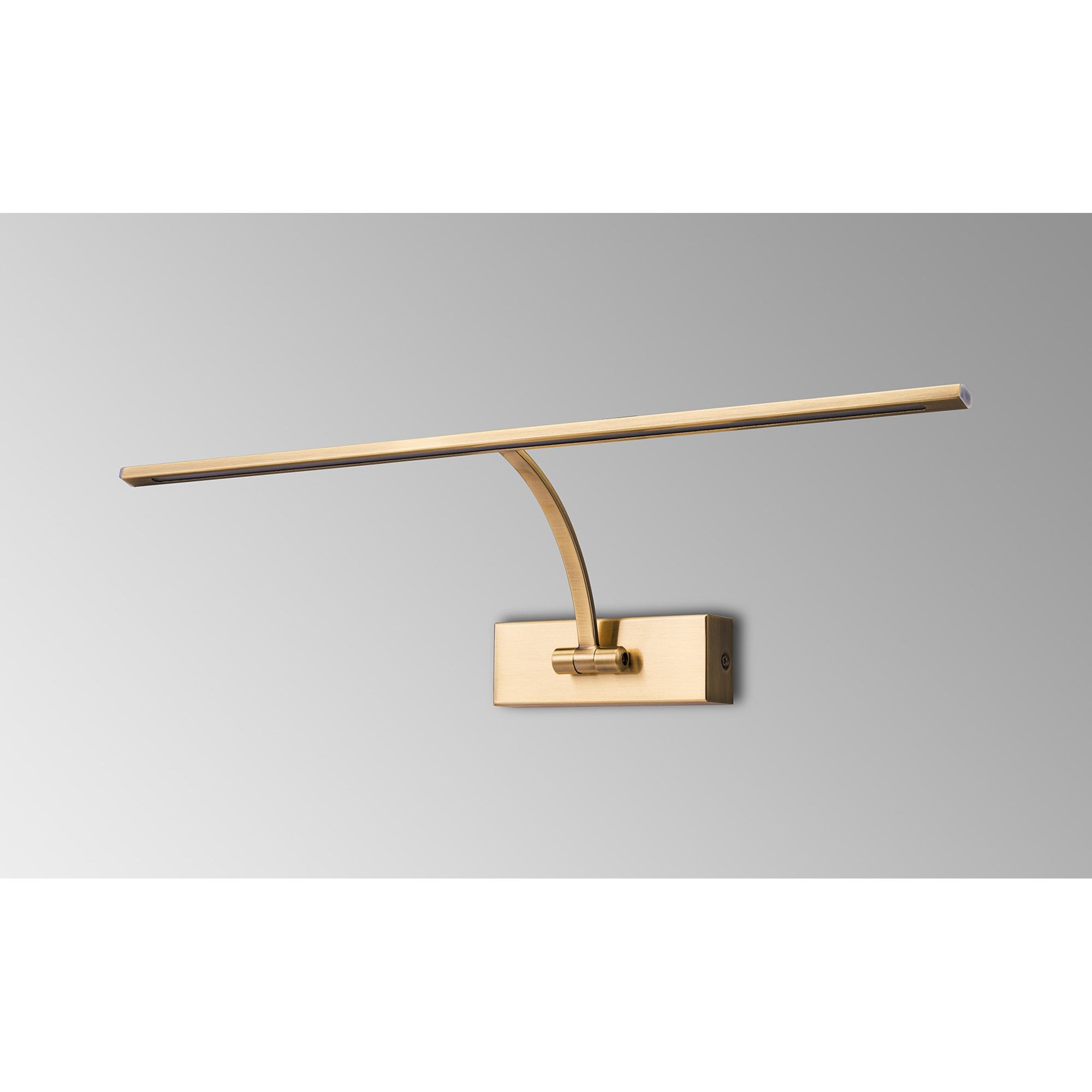 NL7833AB9 Penton 1 LED Picture Light Antique Brass Fosted