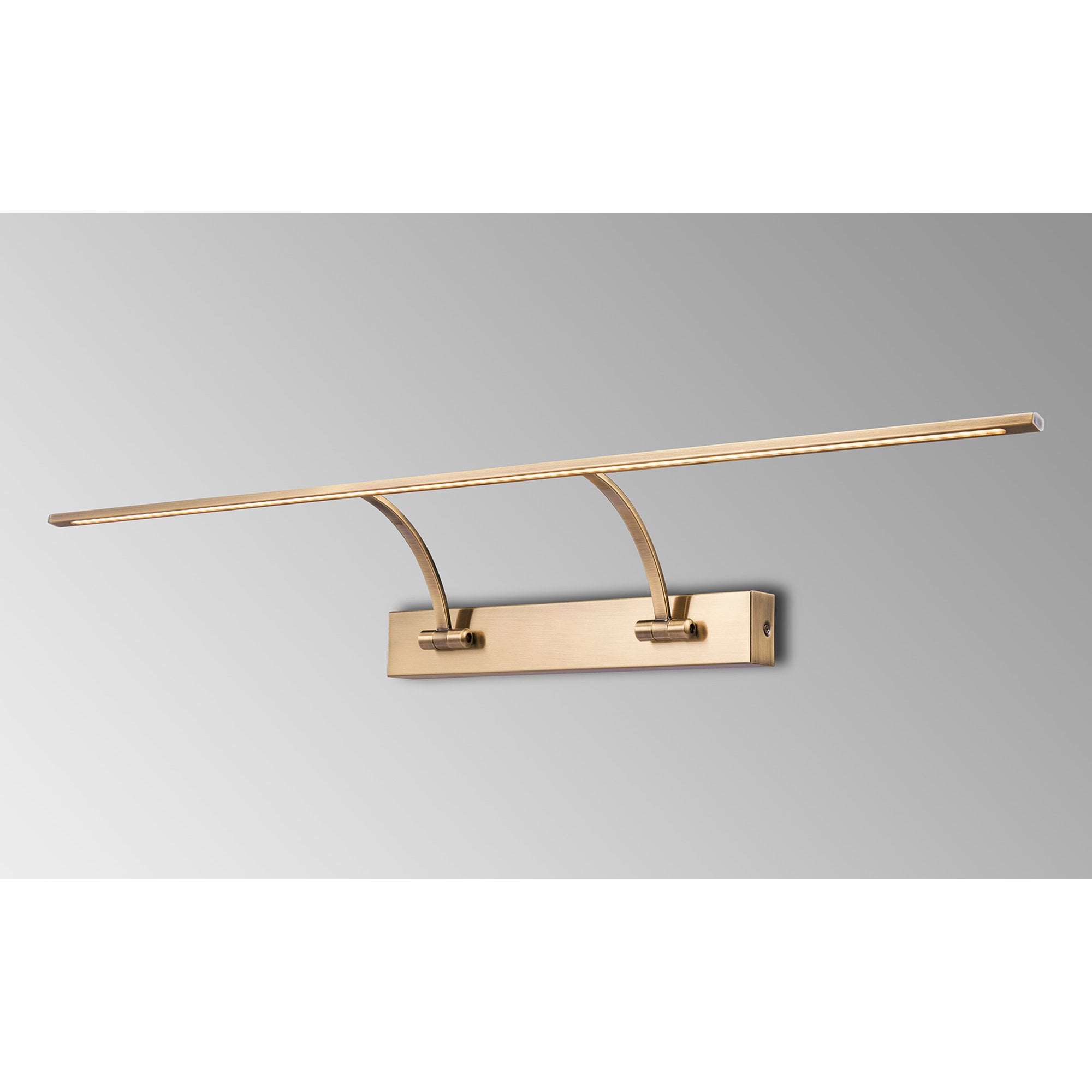 NL7835AB9 Penton 1 LED Picture Light Antique Brass Fosted