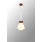 NLK15639 Raibon 1 Light Pendant Walnut Opal