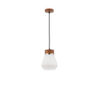 NLK15639 Raibon 1 Light Pendant Walnut Opal
