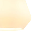 NLK15639 Raibon 1 Light Pendant Walnut Opal