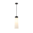 NLK15649 Raibon 1 Light Pendant Black Marble Opal