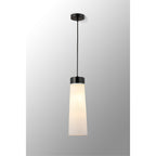 NLK15649 Raibon 1 Light Pendant Black Marble Opal