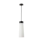 NLK15649 Raibon 1 Light Pendant Black Marble Opal