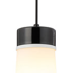 NLK15649 Raibon 1 Light Pendant Black Marble Opal