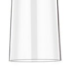 NLK15659 Raibon 1 Light Pendant Satin Nickel Clear